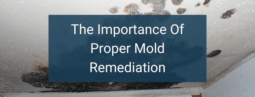 The importance of proper mold remediation.
