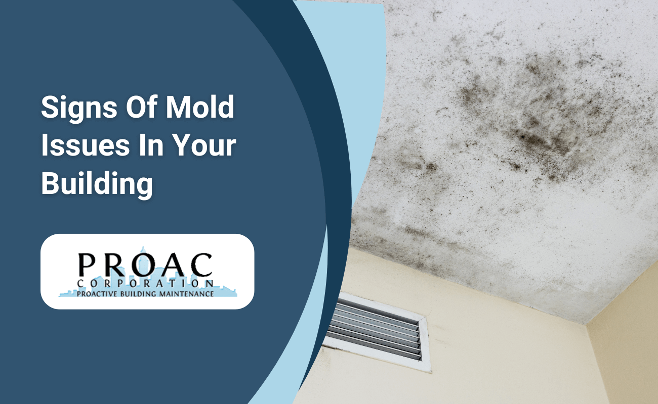 Signs of Mold Issues In Your Building