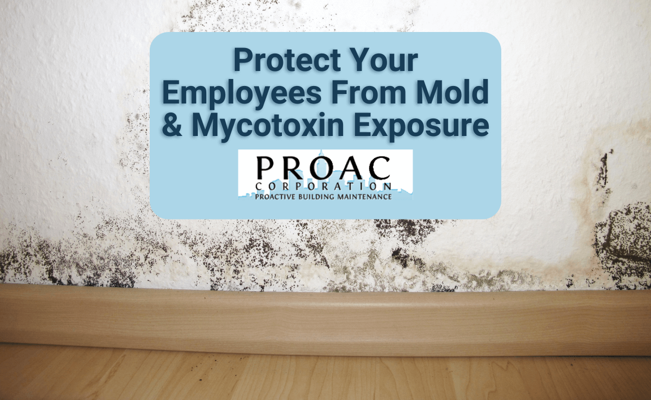 Protect Your Employees From Mold & Mycotoxin Exposure