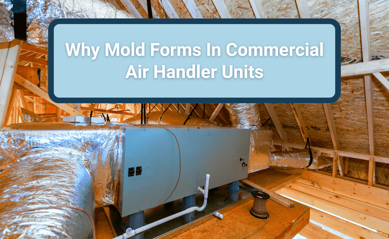 Why Mold Forms In Commercial Air Handler Units (And How To Prevent It)