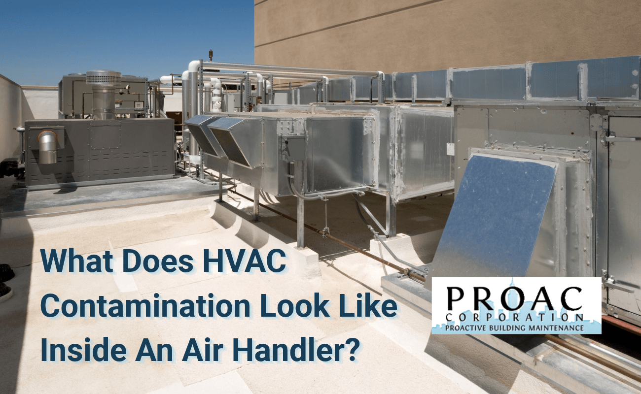 What Does HVAC Contamination Look Like Inside An Air Handler?